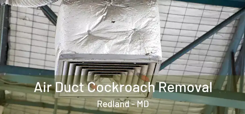  Air Duct Cockroach Removal Redland - MD