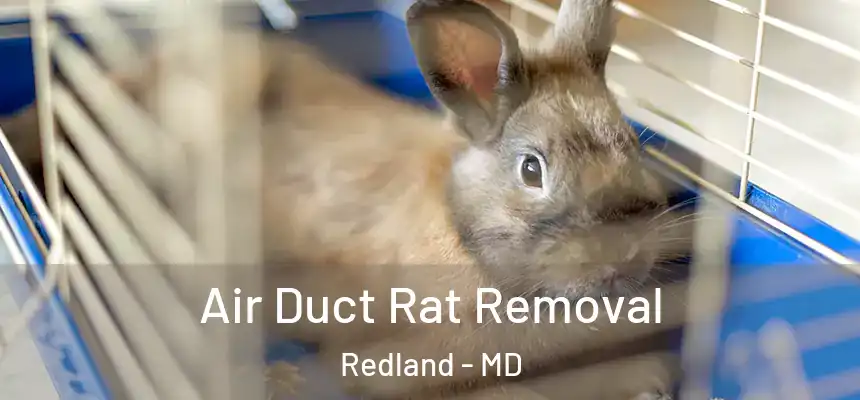  Air Duct Rat Removal Redland - MD