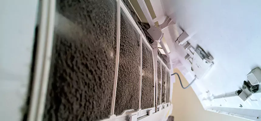 Preventive Air Duct Bacteria Removal in Redland