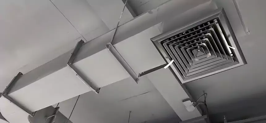 Restorative Allergy Relief Vent Cleaning – Coil, Blower & Housing Detail in Redland