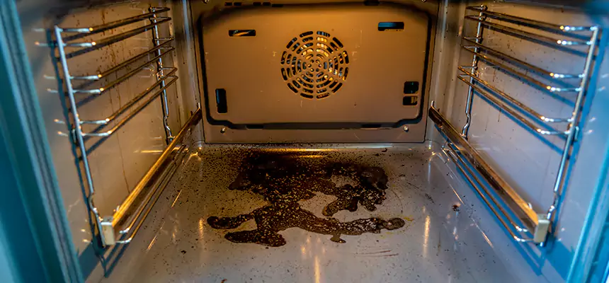 Our Dryer Vent Mold Cleaning Services in Redland, MD