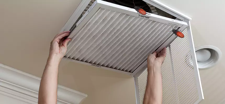 Our Insect Removal from Air Ducts Services in Redland, MD