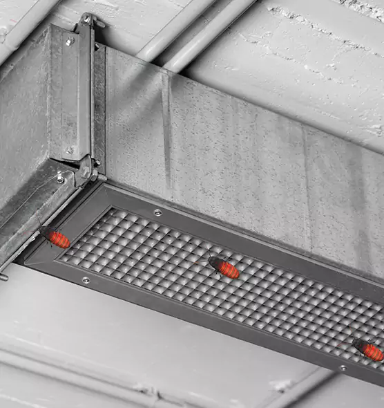 About Air Duct Cockroach Removal in Redland, MD