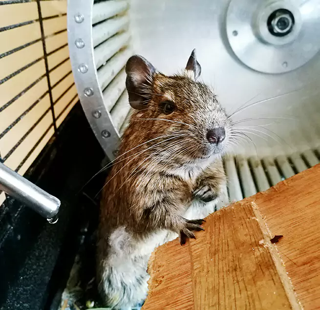 Why Homeowners & Businesses Trust Us Redland, MD?